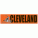 Cleveland Browns - Bumper Sticker