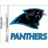 Panthers Static Cling Decal