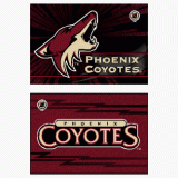 Magnet 2-Pack 2"x3" - Phoenix Coyotes
