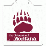 Seat Cushion - U of Montana