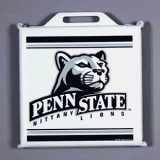 Seat Cushion - Penn State